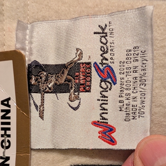 Vintage Randy Johnson HOF Pennant - Picture 4 of 4